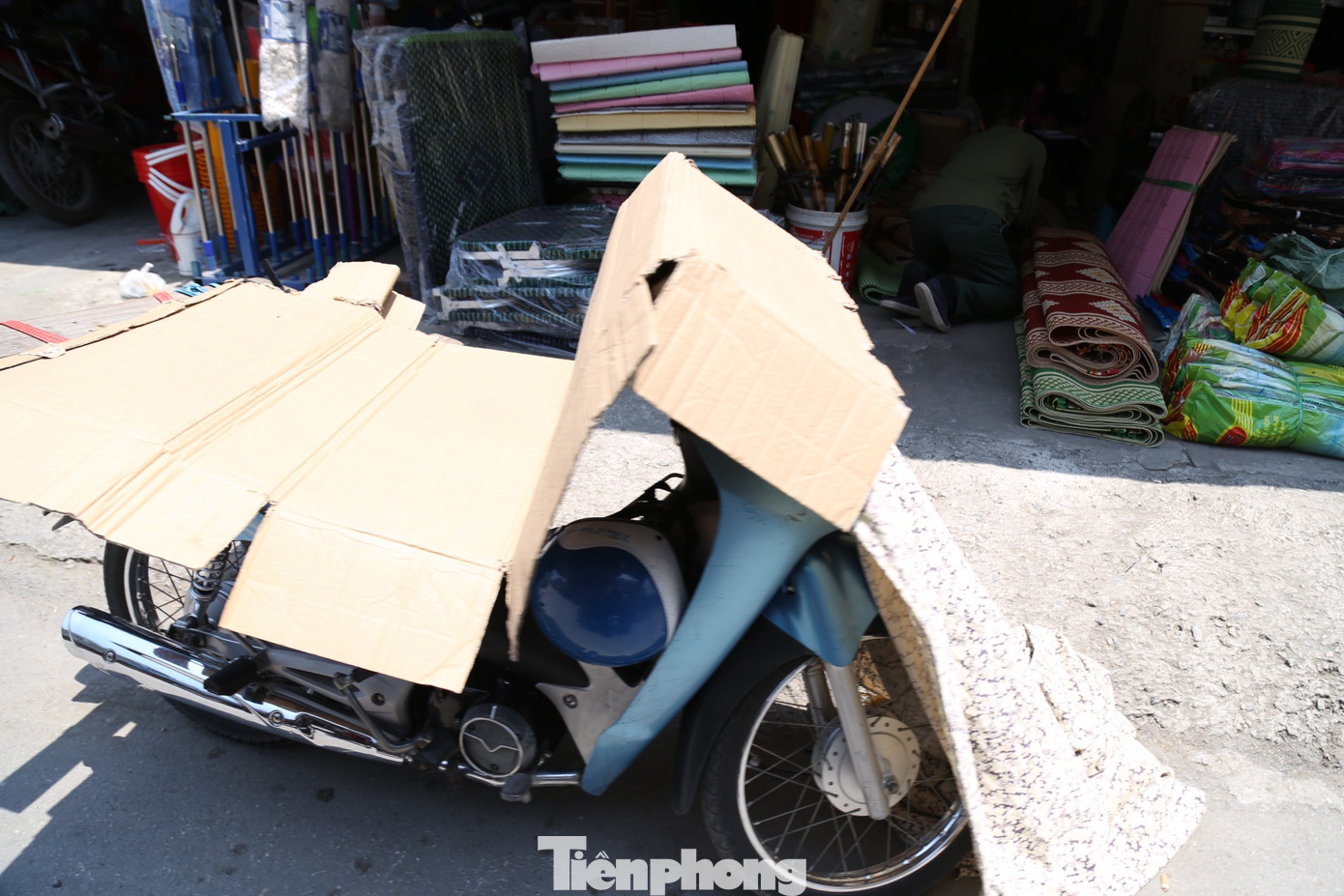 Bìa cát tông cũng trở thành vật che nắng