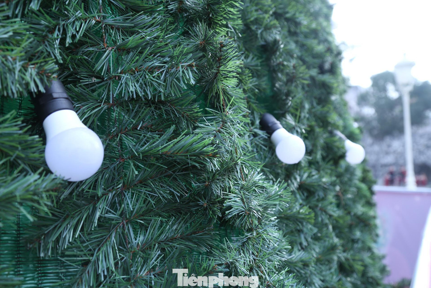 Những chiếc bóng đèn được gắn tỉ mỉ, tạo không gian lung linh về đêm Những chiếc bóng đèn được gắn tỉ mỉ, tạo không gian lung linh về đêm