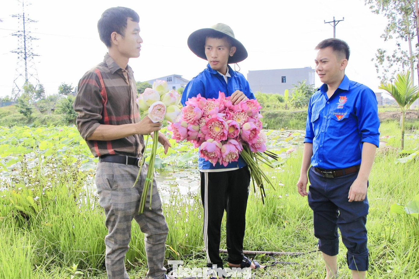 Nguyễn Văn Hòe (giữa) trao đổi kinh nghiệm trồng sen. Nguyễn Văn Hòe (giữa) trao đổi kinh nghiệm trồng sen.
