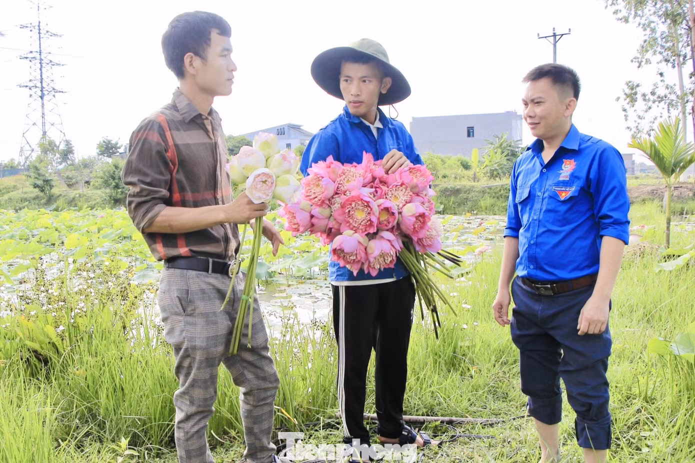 Nguyễn Văn Hòe (giữa) trao đổi kinh nghiệm trồng sen. Nguyễn Văn Hòe (giữa) trao đổi kinh nghiệm trồng sen.