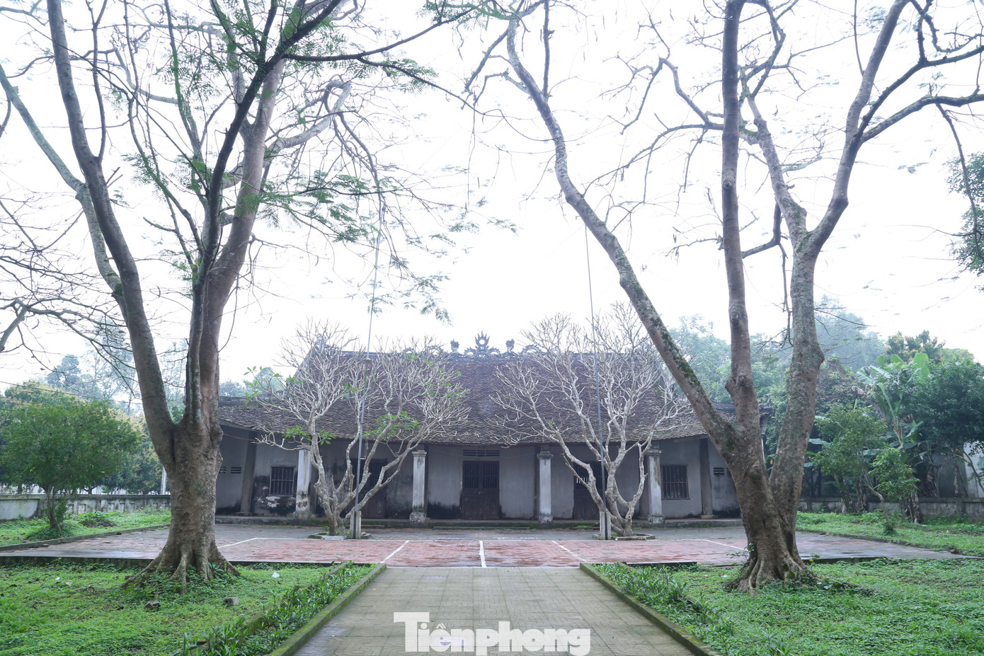 Đình Trung Cần (thuộc xã Trung Phúc Cường, huyện Nam Đàn, Nghệ An), được xây dựng vào thời Lê Trung Hưng (1533-1789) để làm nơi sinh hoạt cộng đồng và thờ Thành hoàng Tống Tất Thắng. Đình Trung Cần được đánh giá là một trong những công trình kiến trúc nghệ thuật đặc sắc của tỉnh Nghệ An. Đình được xếp hạng Di tích Lịch sử - Kiến trúc nghệ thuật cấp Quốc gia năm 1996.