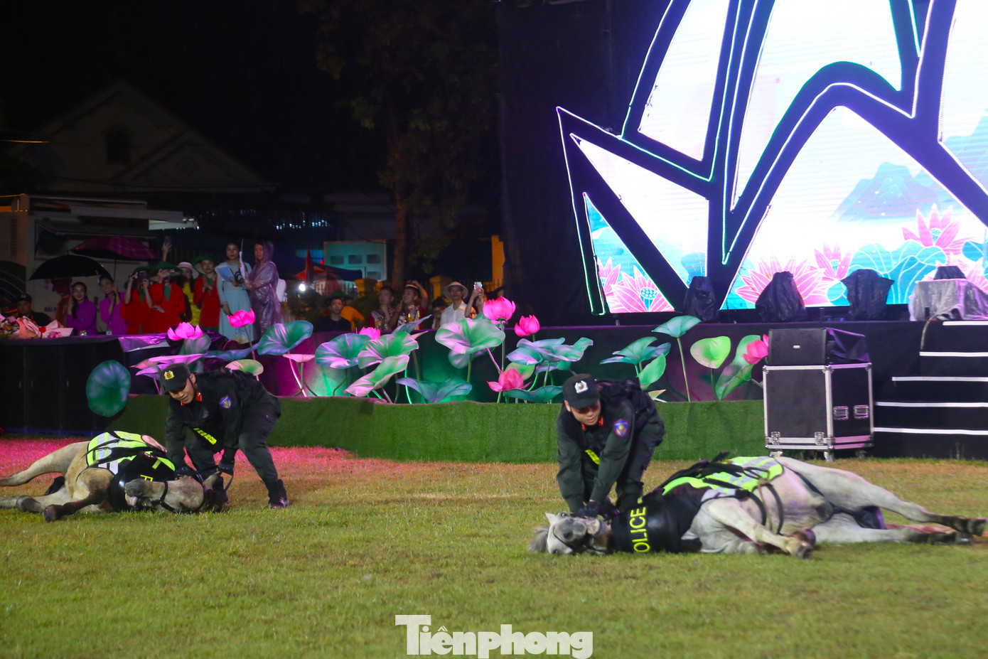 Kỹ thuật điều khiển ngựa nằm. Đây là kỹ thuật khó, thể hiện sự phối hợp nhịp nhàng giữa cán bộ chiến sỹ và ngựa nghiệp vụ.