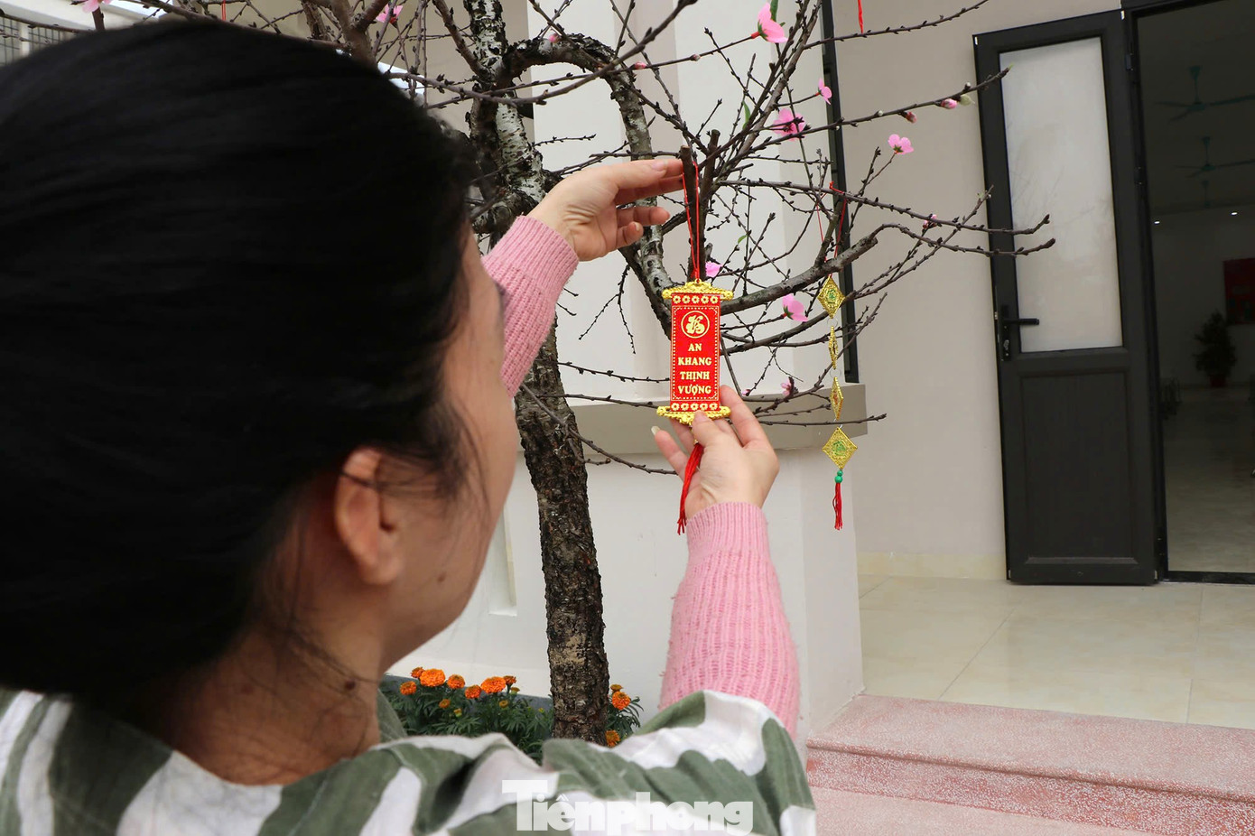 Các phạm nhân trang trí cành đào đón Tết.