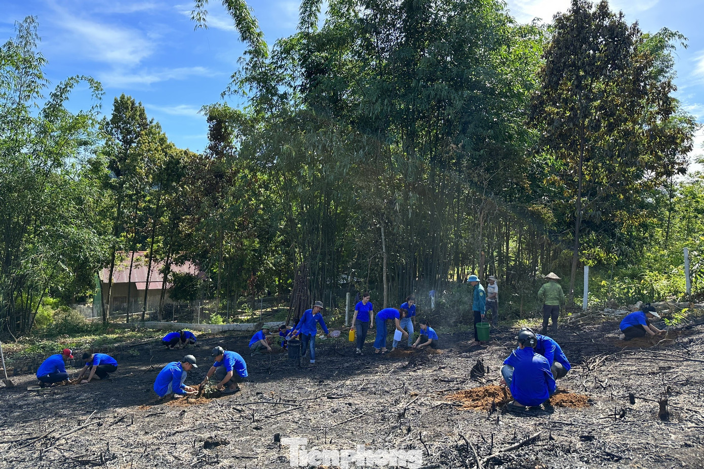 Tại đây, lực lượng đoàn viên thanh niên xã Châu Tiến được huy động tiến hành các hoạt động đào hố và trồng được trên 100 cây dược liệu. 400 cây còn lại sẽ được trồng vào các thời gian tiếp theo, đảm bảo không ảnh hưởng bởi thời tiết. Ban Thường vụ Huyện đoàn cũng có món quà hỗ trợ thêm cho mô hình phát triển bền vững.