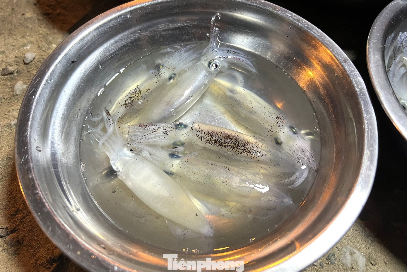 Sau khi cập bờ, mực được chia thành từng mớ nhỏ, bỏ trong khay bày bán cho du khách. Mỗi mớ 6 - 10 con tùy vào kích thước, giá mỗi khay dao động từ 100.000 - 150.000 đồng.