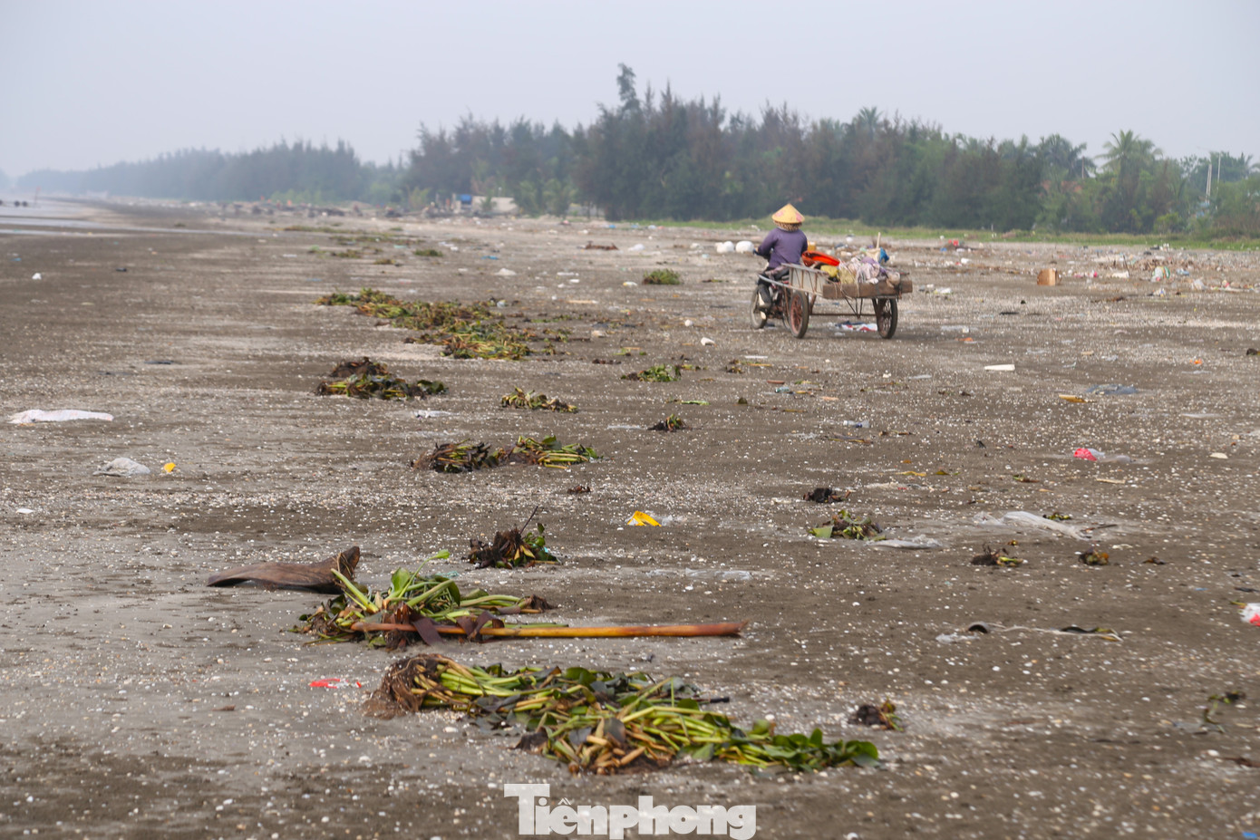Ông Lê Văn Thông, Chủ tịch UBND xã Diễn Kim cho hay: “Những loại rác này chủ yếu là lục bình, bèo tây do các con sông, kênh đổ ra sau khi xuất hiện mưa lớn. Chúng tôi đã huy động các đoàn thể thu dọn, làm sạch bãi biển”.