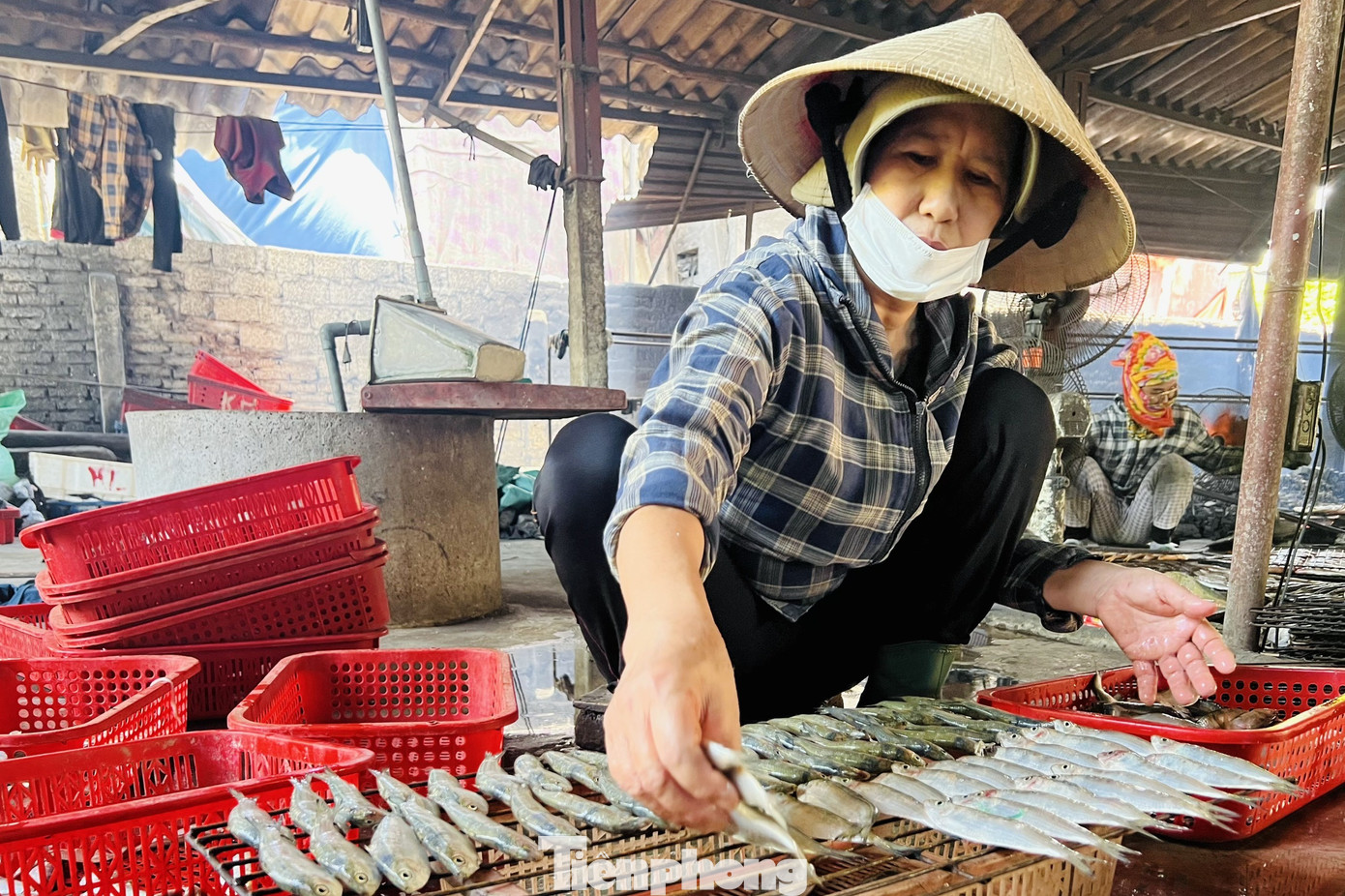 Trước đây, để lấy được số lượng cá làm trong 1 ngày, các chủ lò phải dậy từ 3 - 4 giờ sáng, đến bãi biển trên địa bàn tỉnh thu mua cá. Ngày nay, để chủ động nguồn nguyên liệu, nhiều chủ lò mạnh dạn đầu tư kho bảo quản lạnh ngay tại nhà. Cá được thu mua lượng lớn từ các tàu đánh bắt xa bờ, đem về kho bảo quản để nướng dần.