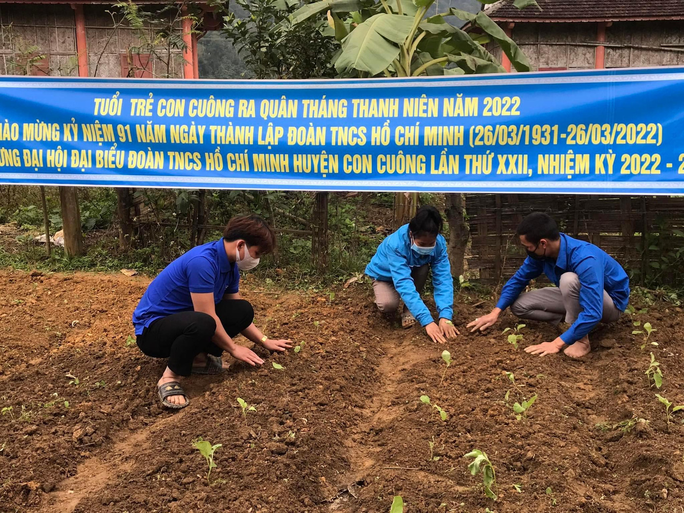 Hỗ trợ nhiều hộ gia đình Đan Lai tại bản Bá Hạ cải tạo vườn tạp, xây dựng vườn hộ, trồng cây ăn quả; hướng dẫn các hộ gia đình trồng cây, hoa màu, cải tạo vườn hộ gia đình. Hỗ trợ nhiều hộ gia đình Đan Lai tại bản Bá Hạ cải tạo vườn tạp, xây dựng vườn hộ, trồng cây ăn quả; hướng dẫn các hộ gia đình trồng cây, hoa màu, cải tạo vườn hộ gia đình.