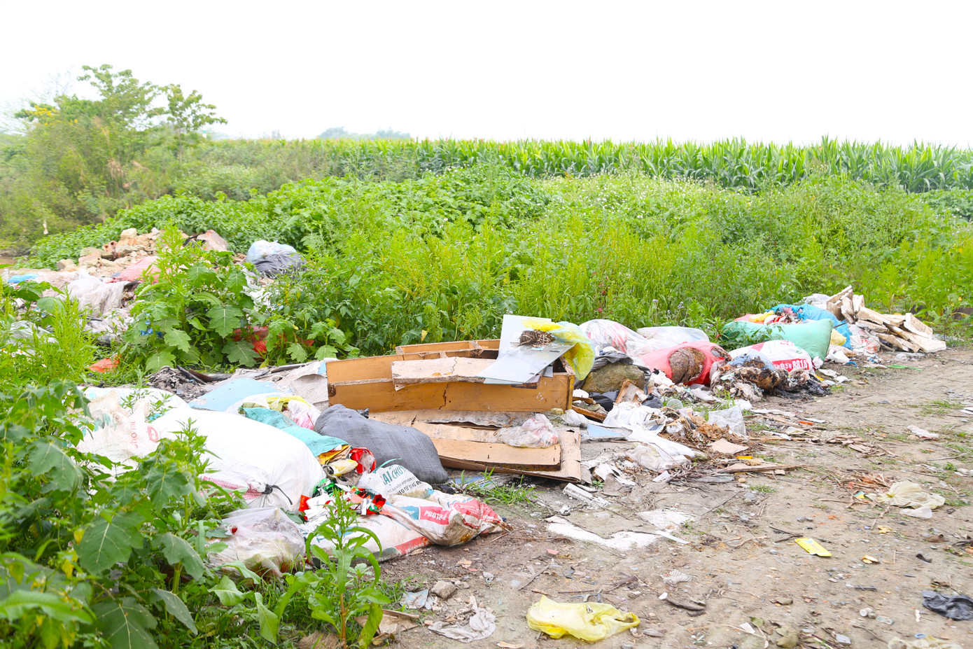 Ghi nhận của PV, dưới cầu Yên Xuân thuộc địa bàn xã Hưng Nguyên Nam (tỉnh Nghệ An) xuất hiện nhiều bãi rác tự phát. Bên cạnh rác thải sinh hoạt, rác thải xây dựng cũng được người dân đổ tràn lan dưới chân cầu.