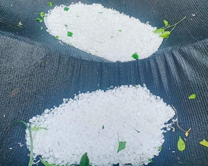 Người dân gom mưa đá lại với nhau thành từng đống nhỏ.