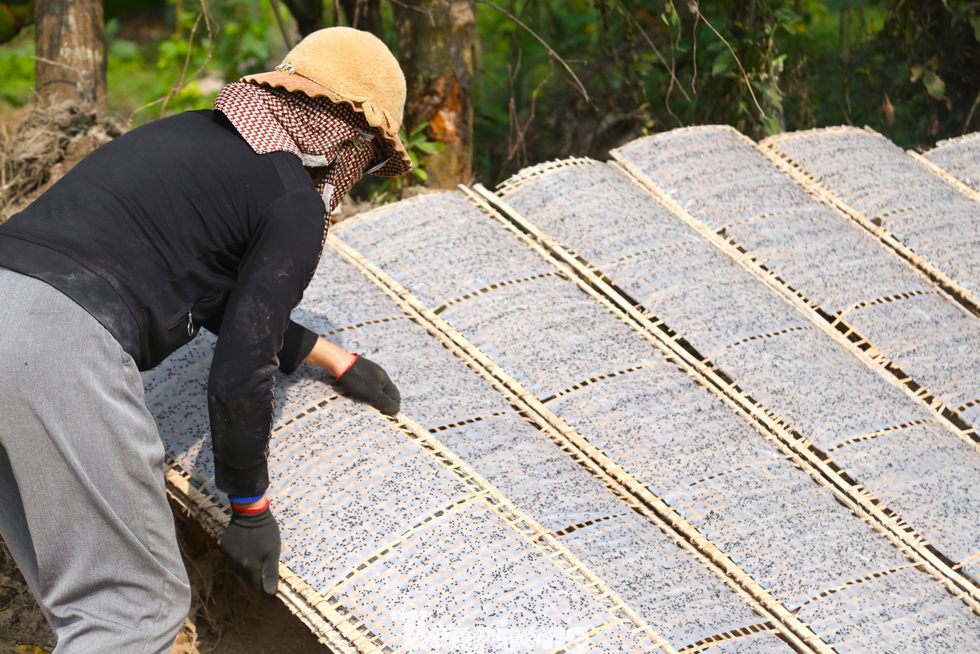 Bà Bạch Thị Yến (SN 1973, trú xóm 6, xã Châu Nhân) cho hay, làm bánh đa có nhiều công đoạn, nhưng phơi bánh là khâu quan trọng ảnh hưởng nhiều đến chất lượng sản phẩm. Tùy theo nhiệt độ, người làm nghề căn khoảng thời gian phù hợp để bánh đủ độ khô, không quá giòn.