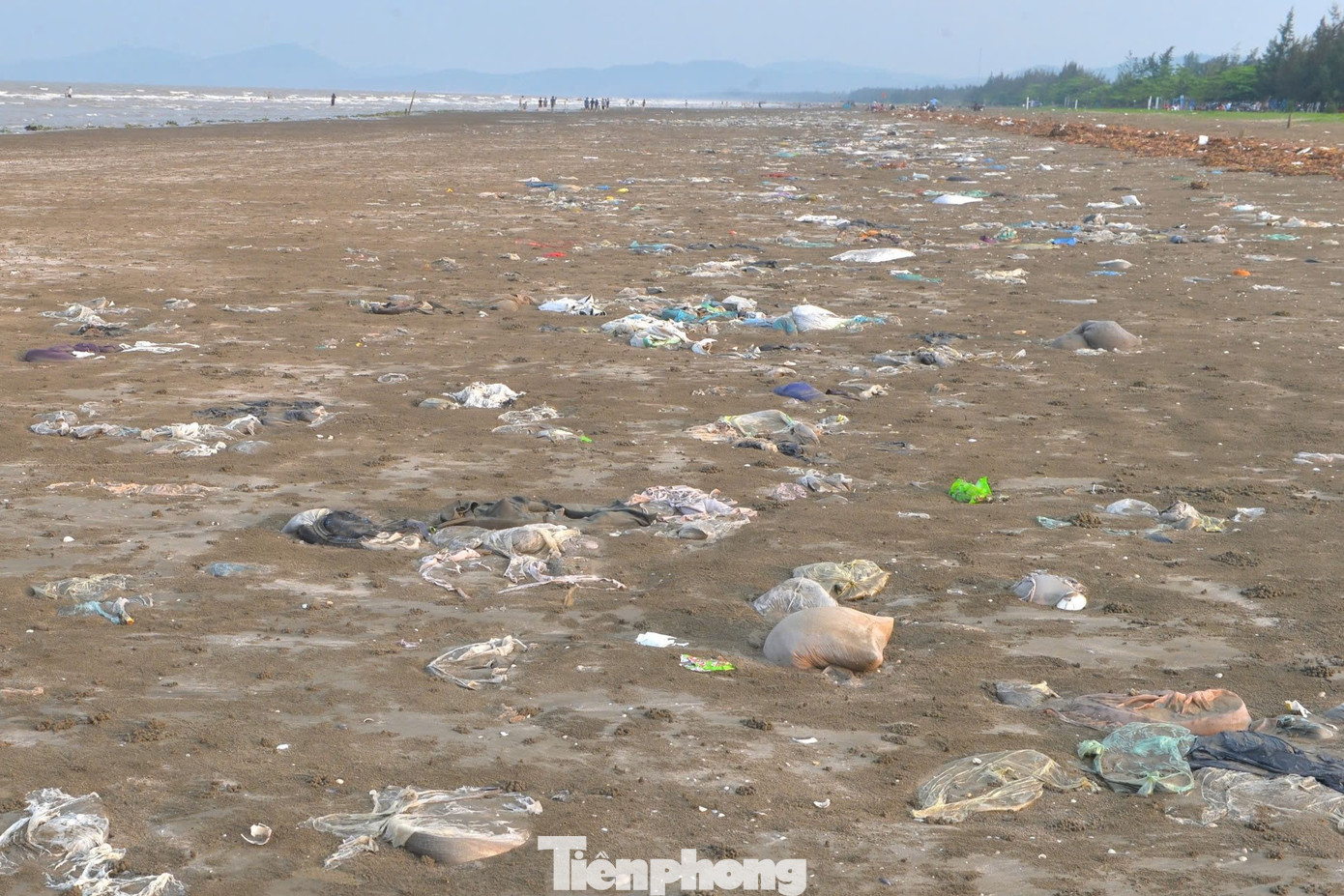 Ông Trần Đăng Trung, Chủ tịch UBND thị trấn Diễn Thành cho biết, huyện Diễn Châu đã hỗ trợ 300 triệu đồng để dọn rác bờ biển. Chính quyền địa phương cũng đã tổ chức dọn dẹp hai lần, tuy nhiên, do lượng bèo tây quá lớn, liên tục dồn về nên công tác thu gom gặp nhiều khó khăn.