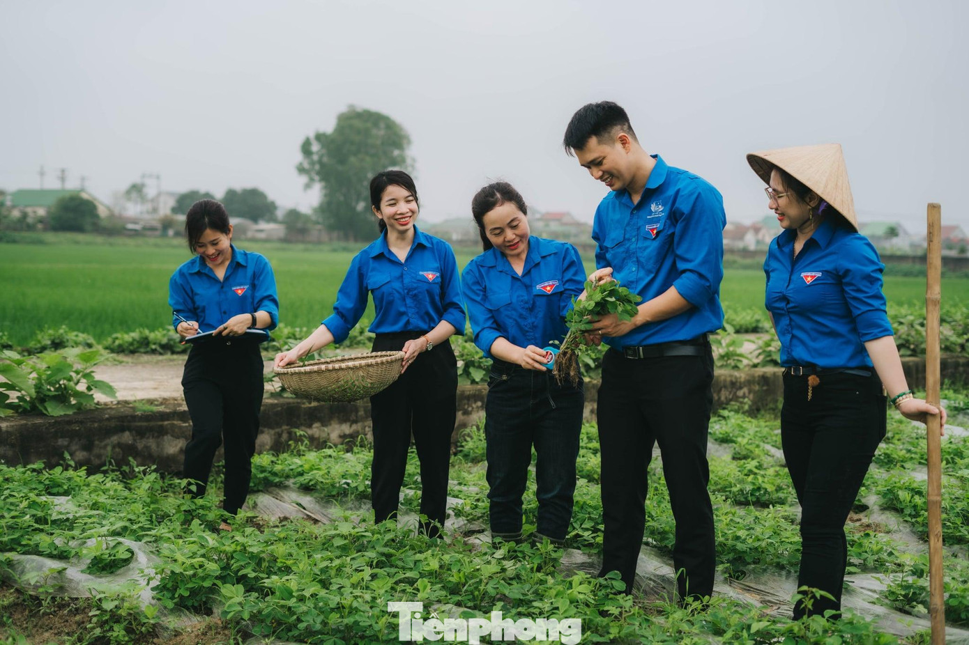 Với thông điệp “Màu xanh của tuổi trẻ hòa vào màu xanh của ruộng đồng - những thành tựu trong sản xuất nông nghiệp không thể phủ nhận những đóng góp của tuổi trẻ Asincv, các bạn đã và đang tích cực tham gia công tác nghiên cứu, chuyển giao, phát triển Khoa học - Công nghệ trong Nông nghiệp”, Chi đoàn Viện KHKT Nông nghiệp Bắc Trung Bộ mang đến một năng lượng tích cực.