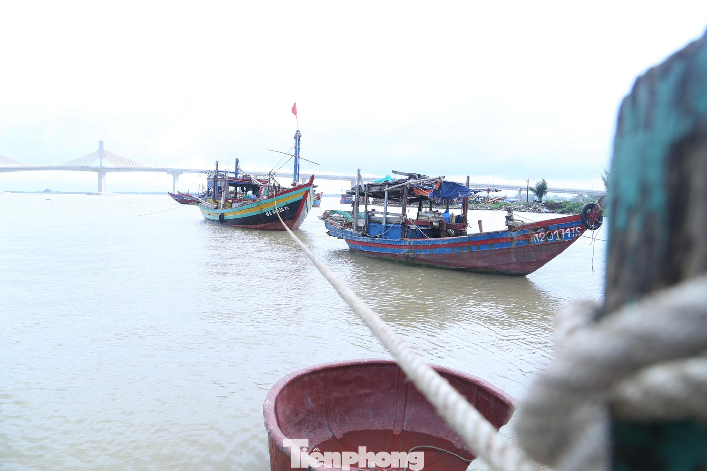 Tàu cá đánh bắt xa bờ của ông Nguyễn Văn Hải (trú tại phường Nghi Hải, TX Cửa Lò) vừa ra khơi được gần 2 ngày nhưng phải quay lại bờ vì lo sợ ảnh hưởng của bão gây nguy hiểm.“Ngày không mưa gió, tàu tôi ra khơi hơn 1 tuần mới vào bờ. Khi vào khu neo đậu tránh bão, phải căng bạt bảo vệ đồng thời chằng, néo dây để đảm bảo an toàn”, ông Hải chia sẻ. Tàu cá đánh bắt xa bờ của ông Nguyễn Văn Hải (trú tại phường Nghi Hải, TX Cửa Lò) vừa ra khơi được gần 2 ngày nhưng phải quay lại bờ vì lo sợ ảnh hưởng của bão gây nguy hiểm.“Ngày không mưa gió, tàu tôi ra khơi hơn 1 tuần mới vào bờ. Khi vào khu neo đậu tránh bão, phải căng bạt bảo vệ đồng thời chằng, néo dây để đảm bảo an toàn”, ông Hải chia sẻ.