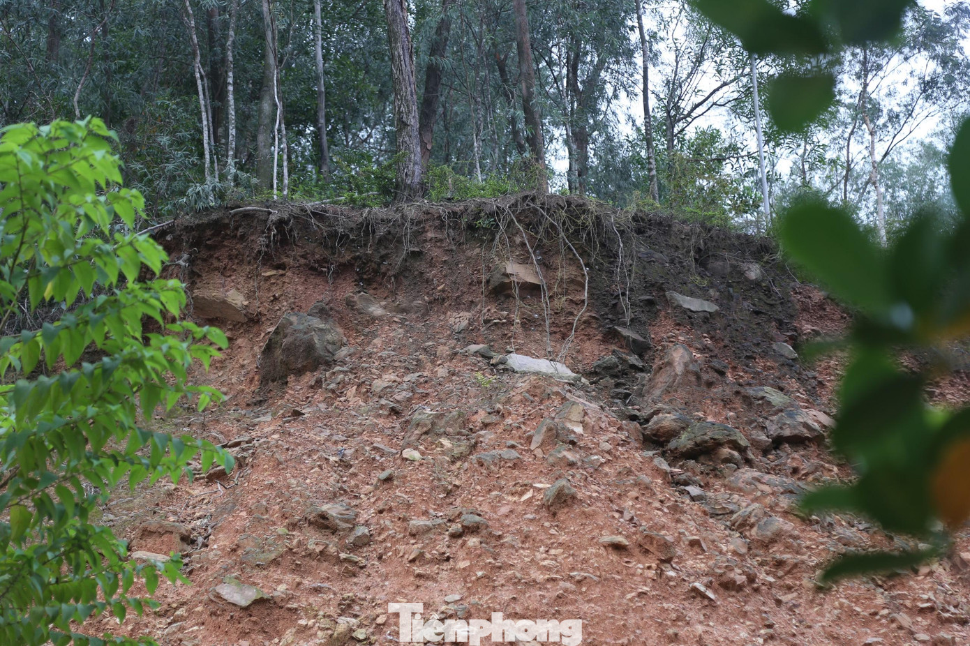 Theo lãnh đạo UBND xã Hưng Yên Nam, dưới 2 ngọn rú này có khoảng 600 hộ dân của xóm 3, 4, 5 và 6 sinh sống. Trong đó, có 50 hộ có nguy cơ cao, nhà ở chỉ cách rú vài mét nên buộc phải di dời khi có mưa lớn. Theo lãnh đạo UBND xã Hưng Yên Nam, dưới 2 ngọn rú này có khoảng 600 hộ dân của xóm 3, 4, 5 và 6 sinh sống. Trong đó, có 50 hộ có nguy cơ cao, nhà ở chỉ cách rú vài mét nên buộc phải di dời khi có mưa lớn.