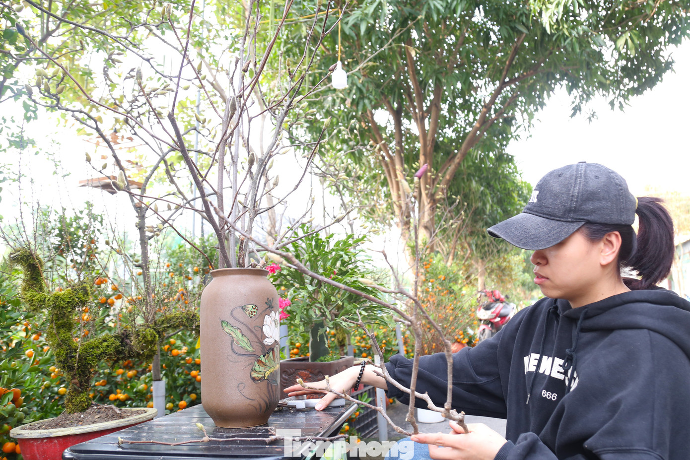 Đối với dạng cành, có giá từ 100 - 200 nghìn đồng/cành