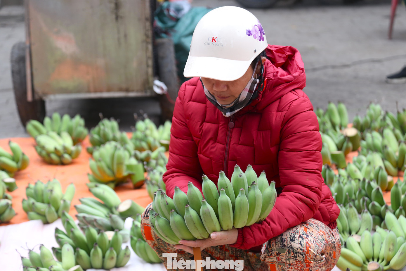 Bà Trần Thu Phương (trú phường Hưng Lộc, TP Vinh) cho biết: “Giá chuối tăng cao. Hôm cúng ông Công ông Táo, tôi mua nải chuối với giá 150.000 đồng đã thấy khá đắt. Nay ra chợ, nải rẻ nhất cũng đã 200.000 đồng, nải lẻ, quả đẹp lên đến nửa triệu đồng”.