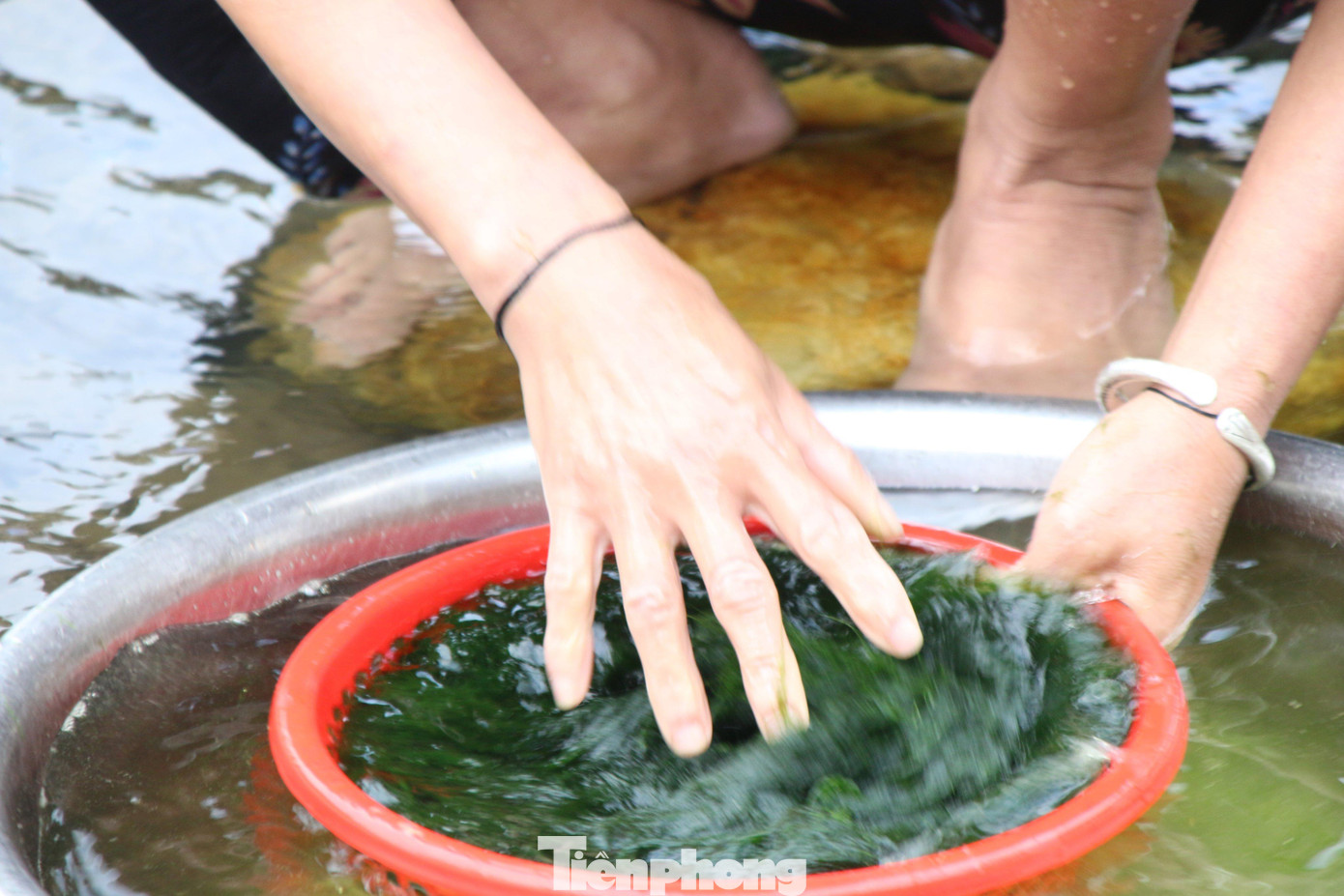 Là một món ngon nhưng để chế biến được rêu đá cũng khá mất công. Rêu hái về phải giũa sạch đất cát, sau đó đem vào cối giã cho mềm. Giã xong thì đem ra suối đãi một lần nữa cho thật sạch. Trước khi đem nấu rêu được băm trộn với các lại gia vị. Tất nhiên không thể thiếu hạt mắc khén (hạt tiêu rừng).