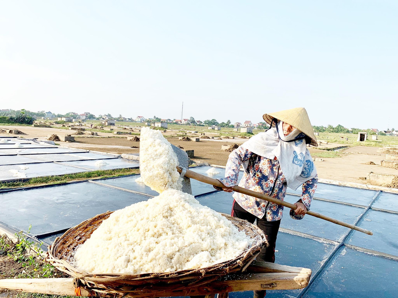 Hợp tác xã Kim Liên tự ý rút hơn nửa tỷ tiền hỗ trợ diêm dân để chi tiêu riêng