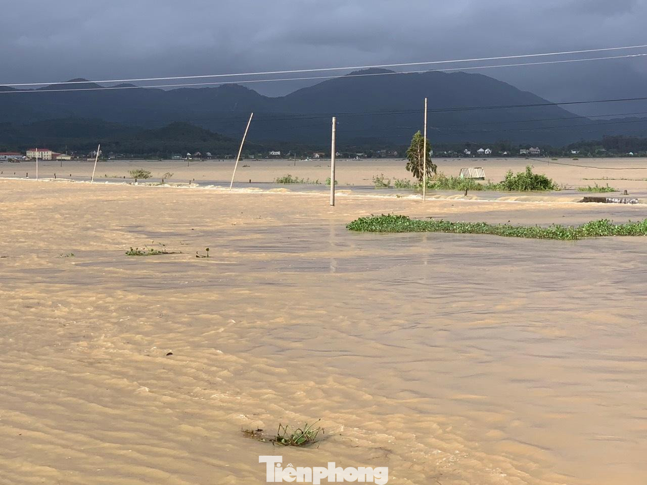 Nhiều khu vực ở huyện Nghi Lộc bị ngập sâu, cô lập