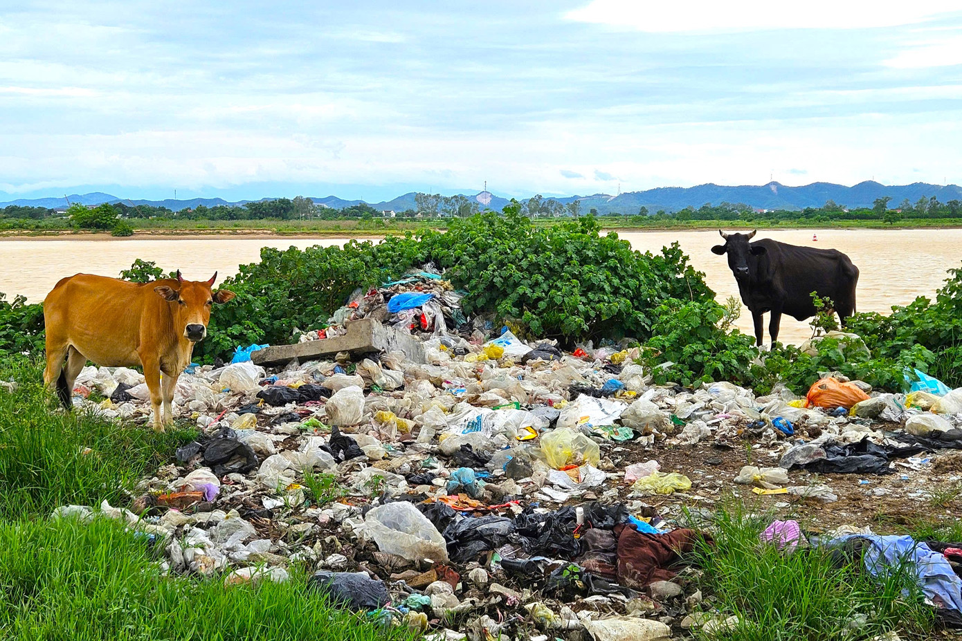 Theo ghi nhận, do khu vực này nằm cách xa khu dân cư, ít người qua lại nên một số người đã lợi dụng để đổ trộm rác thải. Ngoài ra, việc thiếu các điểm tập kết rác thải hợp lý và hệ thống thu gom rác chưa hiệu quả cũng là nguyên nhân khiến tình trạng xả rác bừa bãi gia tăng.