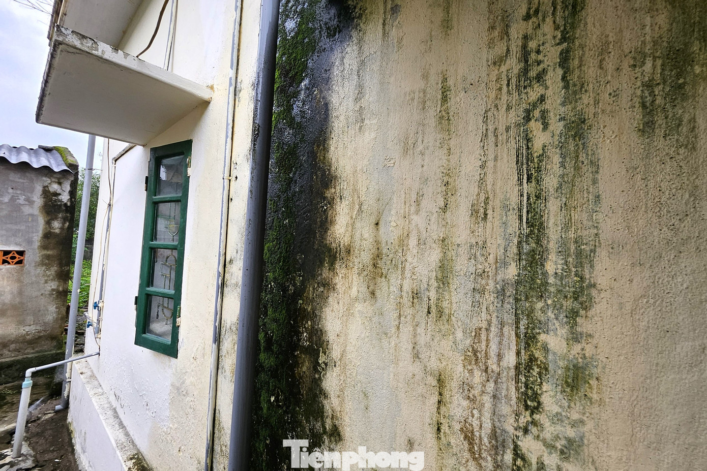 Nhiều khu vực tường ẩm mốc, bong tróc