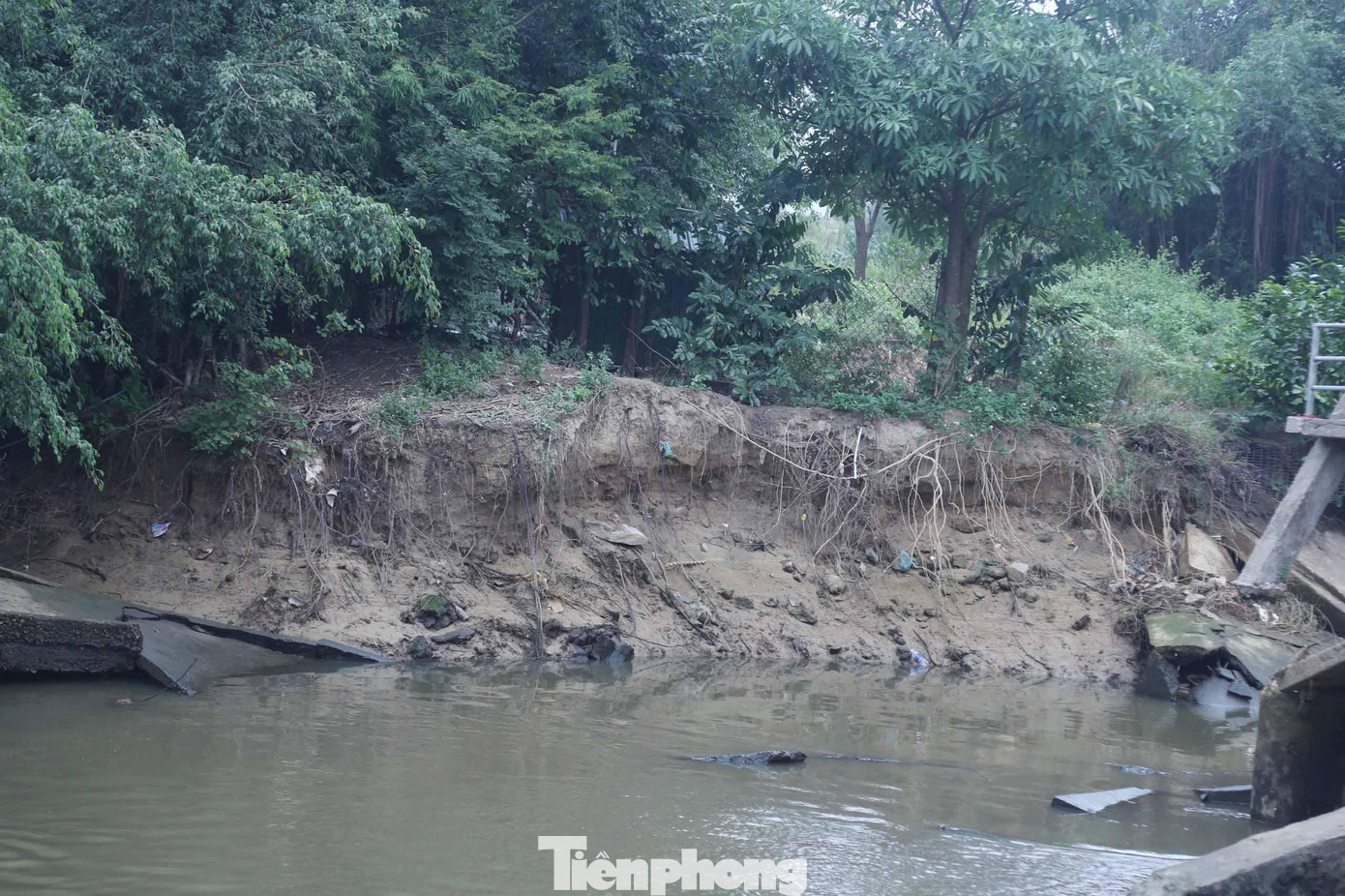 Nước xói vào cũng làm sạt lở gần 20m kè bờ đê, nguy cơ xói lở sâu vào đất liền vẫn tiếp diễn, đặc biệt là các đợt thủy triều lên. Nước xói vào cũng làm sạt lở gần 20m kè bờ đê, nguy cơ xói lở sâu vào đất liền vẫn tiếp diễn, đặc biệt là các đợt thủy triều lên.