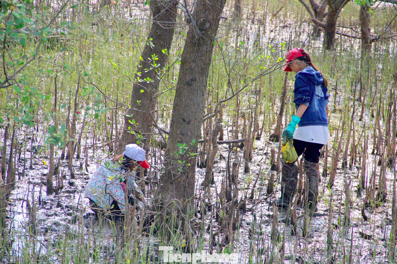 Em Nguyễn Thị Trang (xã Hưng Hòa) cho biết: “Tranh thủ thời gian nghỉ học, em cùng bạn lội bùn săn cáy. Thời điểm săn cáy thường không cố định vì tùy thuộc vào thủy triều lên xuống, do phải lội bùn nên khi đi săn cáy phải chuẩn bị đầy đủ ủng, bao tay bảo vệ, lúc lội bùn cũng phải cẩn thận”