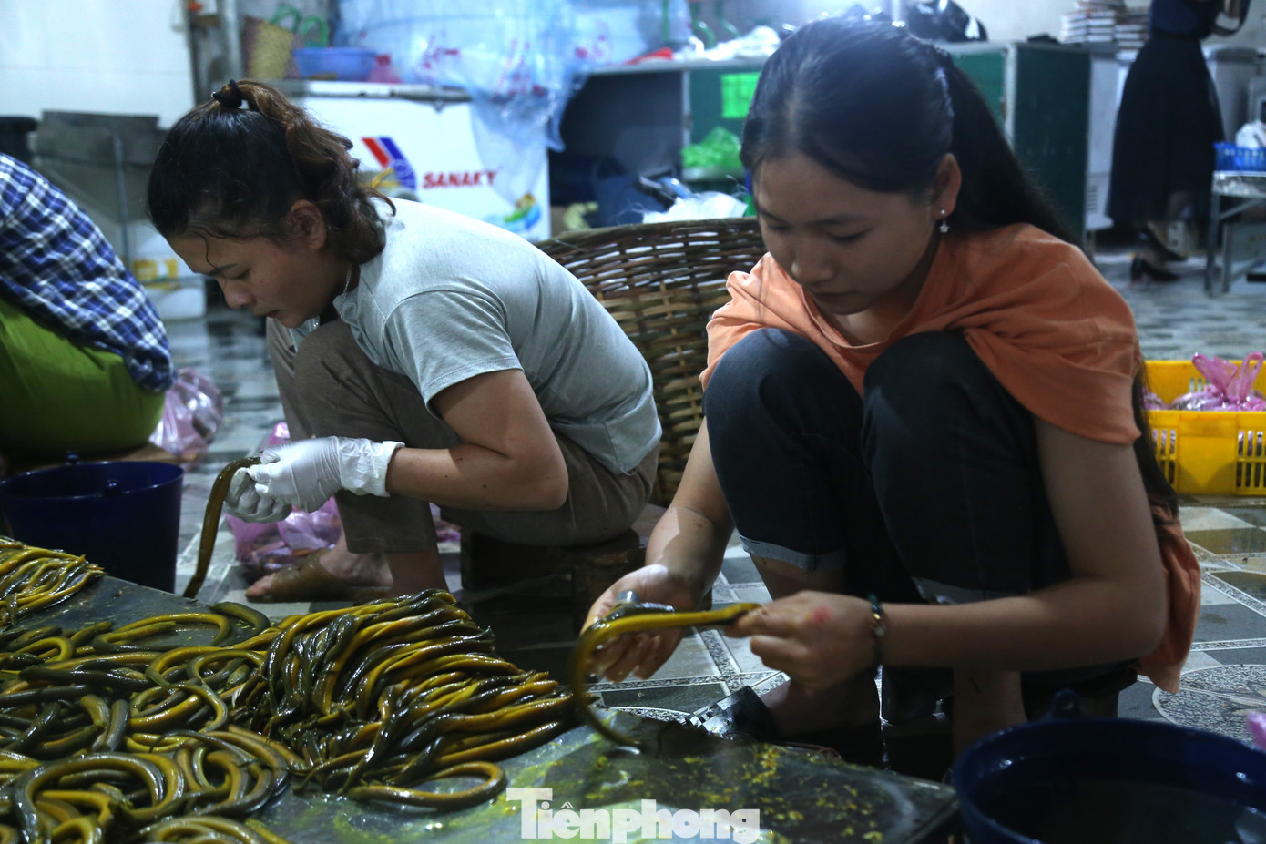 Gia đình anh Nguyễn Minh Thao (trú xóm Phan Thanh, xã Long Thành) là cơ sở thu mua và sơ chế lươn có thâm niên 14 năm nay. Anh Thao cho biết, bình quân mỗi ngày anh thu mua và sơ chế từ 5-6 tạ lươn, ngày cao điểm có thể lên đến 1 tấn lươn, tạo việc làm thường xuyên cho 12-15 lao động. Gia đình anh Nguyễn Minh Thao (trú xóm Phan Thanh, xã Long Thành) là cơ sở thu mua và sơ chế lươn có thâm niên 14 năm nay. Anh Thao cho biết, bình quân mỗi ngày anh thu mua và sơ chế từ 5-6 tạ lươn, ngày cao điểm có thể lên đến 1 tấn lươn, tạo việc làm thường xuyên cho 12-15 lao động.