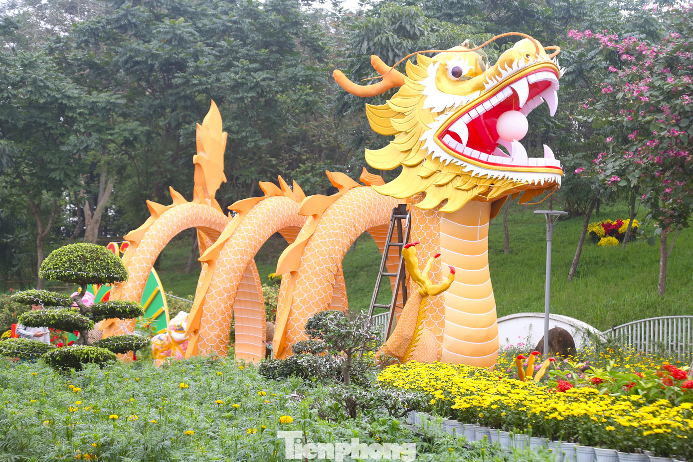 Linh vật rồng này lấy ý tưởng từ hình ảnh rồng ngậm ngọc cuộn tròn, ẩn mình trong mây.