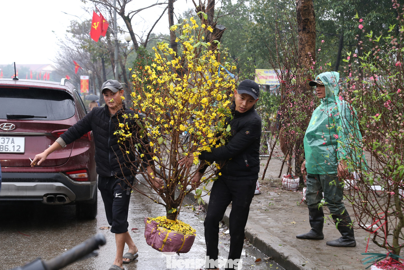 Nhiều người tìm được chậu mai ưng ý trong chiều 30 Tết.