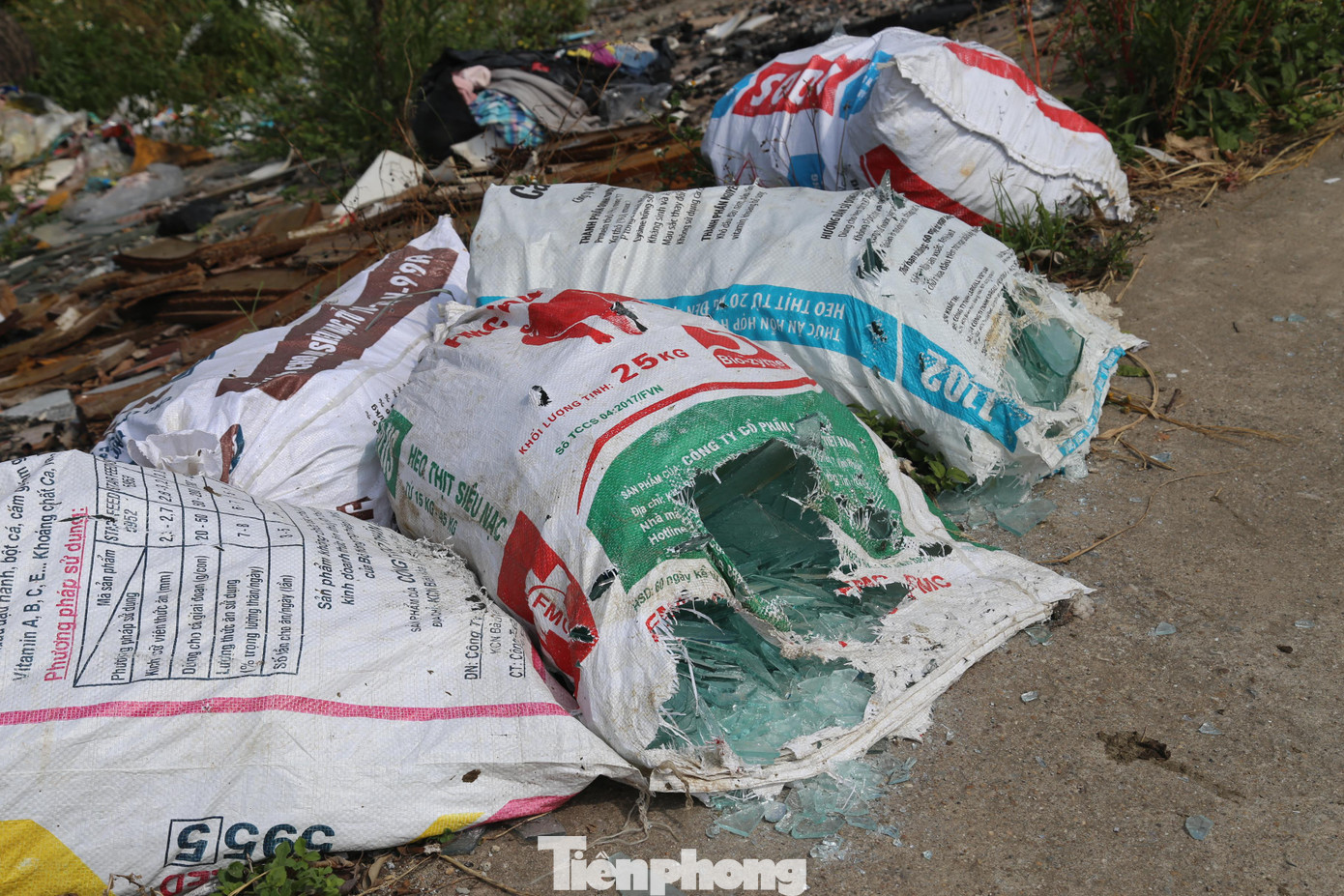 Từng bao mảnh vỡ thủy tinh được tập kết dọc tuyến đê