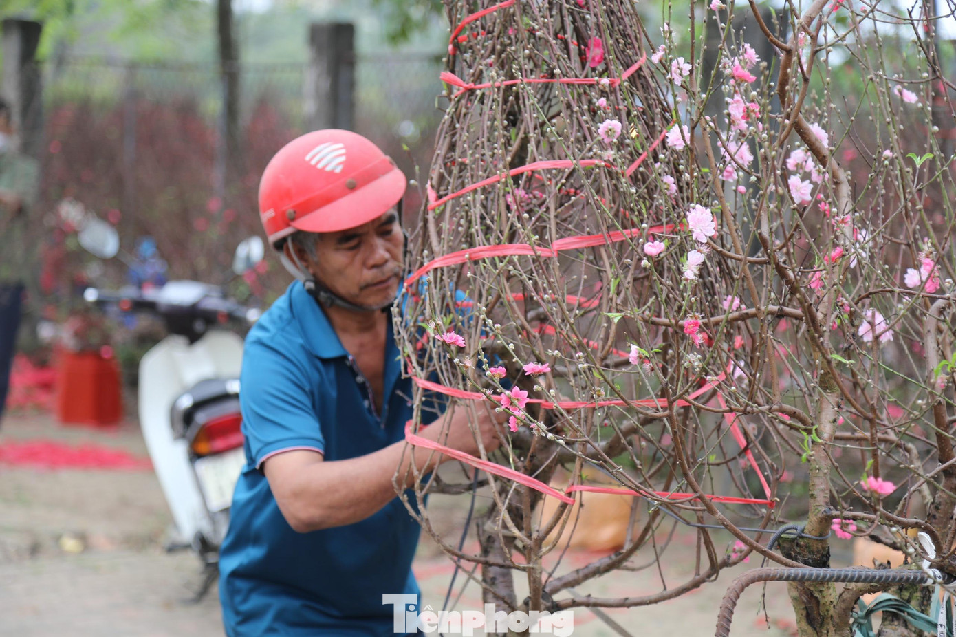 Buộc dây cẩn thận trước khi di chuyển