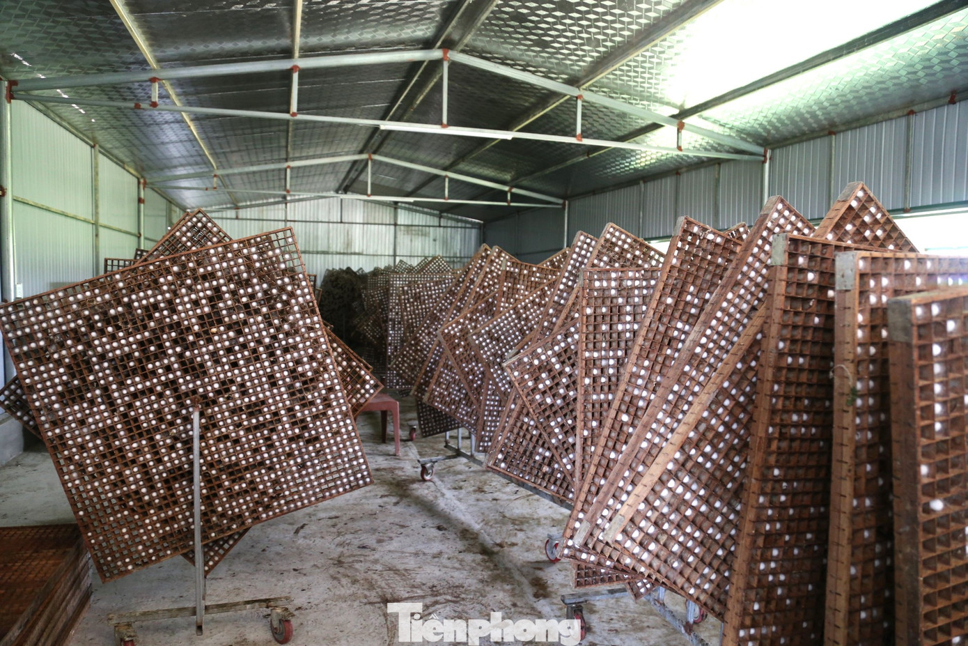 Áp dụng kỹ thuật cho tằm lên né gỗ ô vuông thay thế cho né tre truyền thống đã đem lại hiệu quả nhất định. Sản lượng, chất lượng kén tằm được nâng lên, tỷ lệ kén đôi thấp.