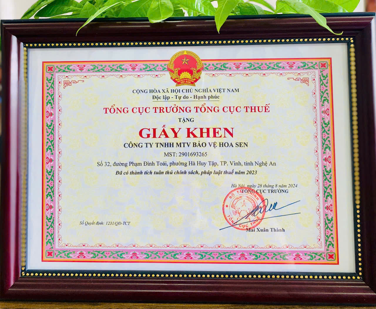 Công ty TNHH MTV dịch vụ bảo vệ Hoa Sen vinh dự được nhận Giấy khen của Tổng cục thuế vì đã có thành tích tuân thủ chính sách, pháp luật thuế năm 2023 Công ty TNHH MTV dịch vụ bảo vệ Hoa Sen vinh dự được nhận Giấy khen của Tổng cục thuế vì đã có thành tích tuân thủ chính sách, pháp luật thuế năm 2023