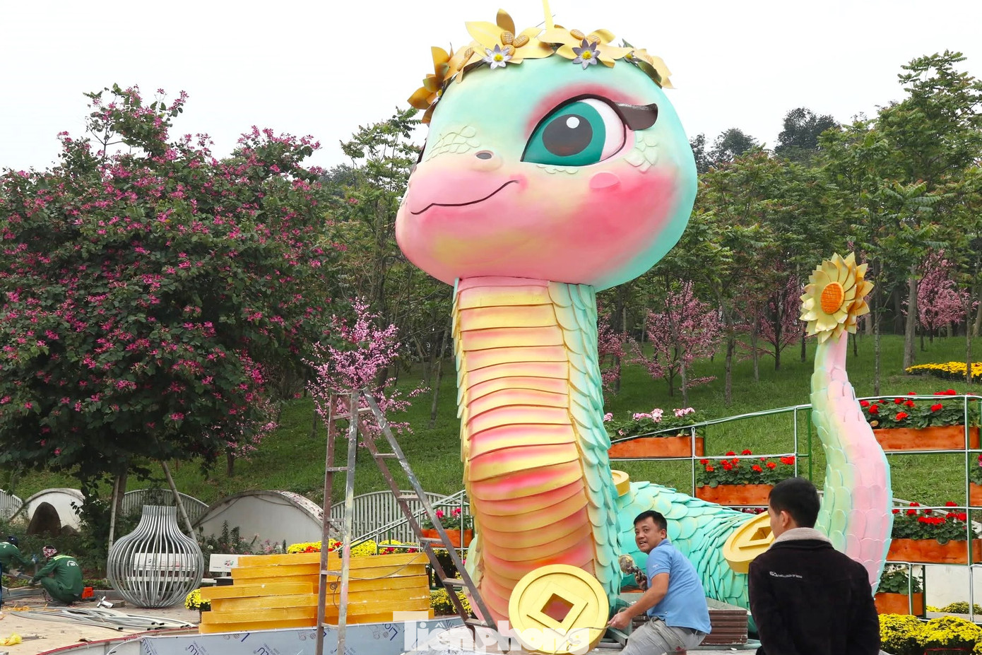 Để dựng linh vật rắn này, các công nhân đã làm việc liên tục từ tối 24/1 đến sáng 25/1 mới hoàn thiện, bao gồm nhiều công đoạn vận chuyển, dựng hình, lắp đặt đèn trang trí…