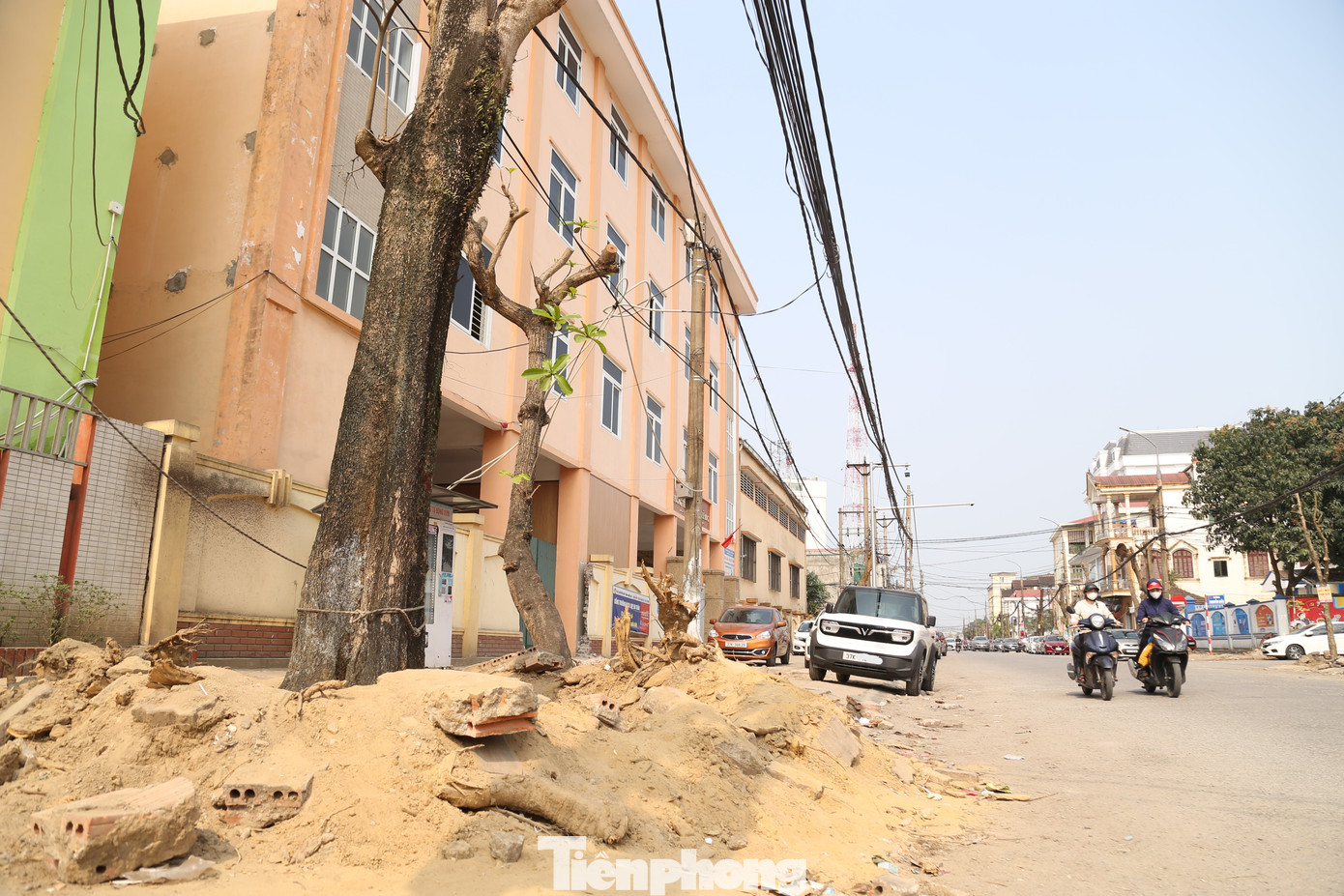 Theo Ban Quản lý đầu tư xây dựng thành phố Vinh, dự án cải tạo, nâng cấp đường Đinh Công Tráng đang được triển khai theo quy trình di dời cây xanh, làm hệ thống mương thoát nước, hạ ngầm đường điện, cáp viễn thông, thảm bê tông nhựa… Quá trình cắt tỉa, di dời cây xanh cần có thời gian cho cây thích ứng khi bị cắt rễ, làm bầu. Dự kiến, đầu tháng 4 tới cây xanh được di dời.