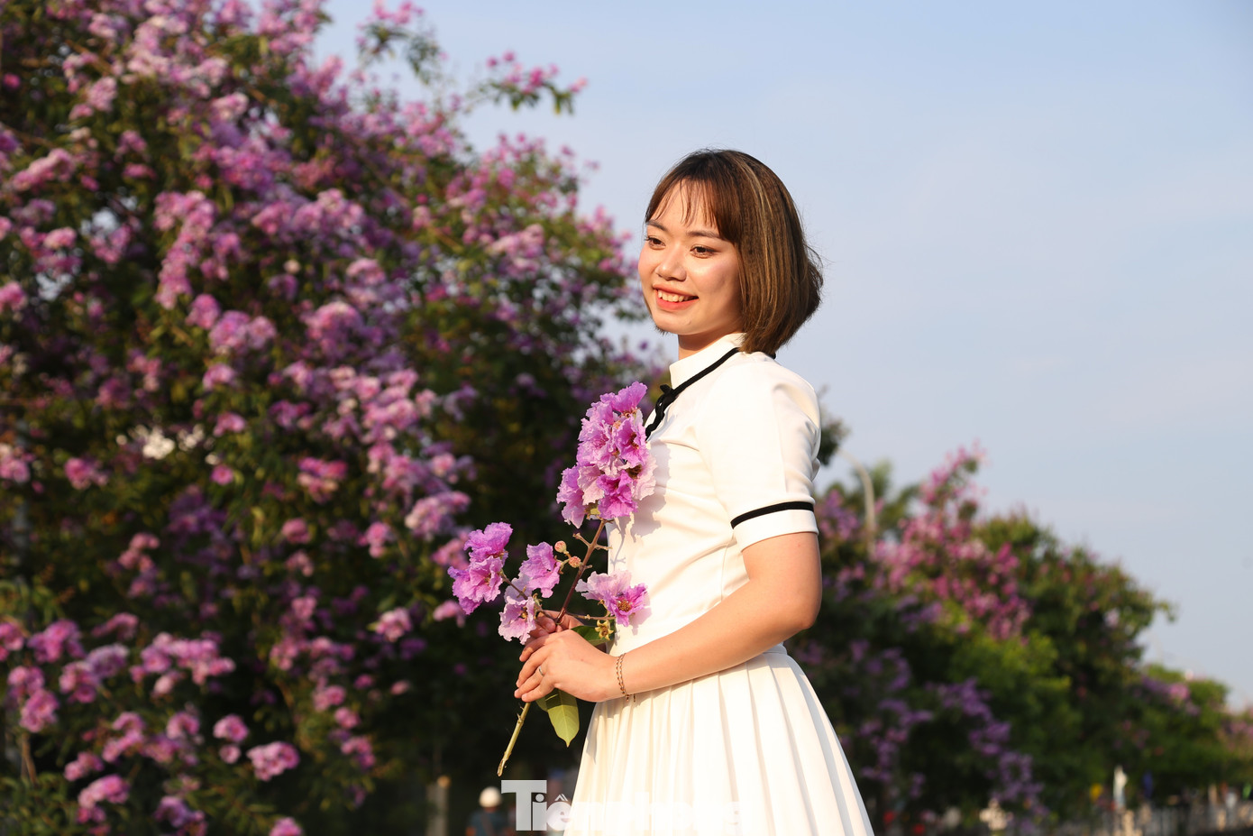 Tranh thủ những ngày hoa bằng lăng nở rộ, Nguyễn Thị Thùy (sinh viên Trường đại học Y khoa Vinh) quyết định chụp một bộ ảnh ghi lại khoảnh khắc thanh xuân của mình. “Bằng lăng nở tím cả con đường, rất đẹp và thơ mộng. Mấy hôm nay trên khắp các trang mạng đều nở rộ trào lưu chụp ảnh với hoa bằng lăng nên tôi cũng tranh thủ đi chụp một bộ ảnh làm kỷ niệm”, Thùy chia sẻ.
