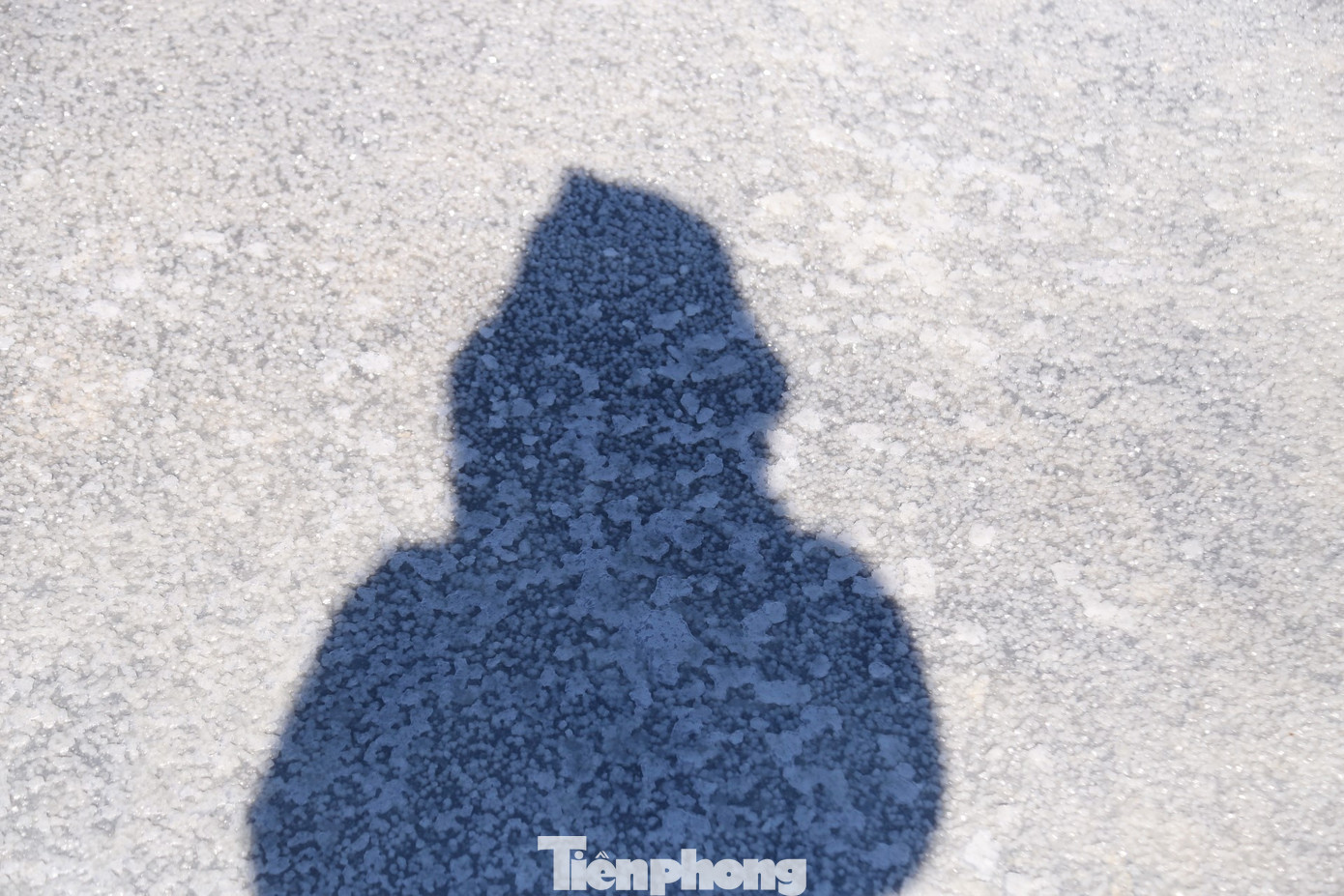 Từng ô muối trắng tinh như những "hạt ngọc".