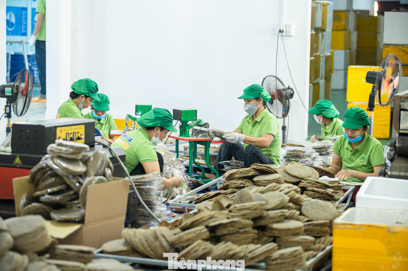 Năm 2022, xưởng được mở rộng quy mô, đầu tư 4 tỷ đồng vận hành công nghệ sấy khép kín, cho công suất tối đa gần 40 triệu chiếc bánh/năm, tạo việc làm cho hơn 40 lao động địa phương, doanh thu đạt hơn 14 tỷ đồng mỗi năm.