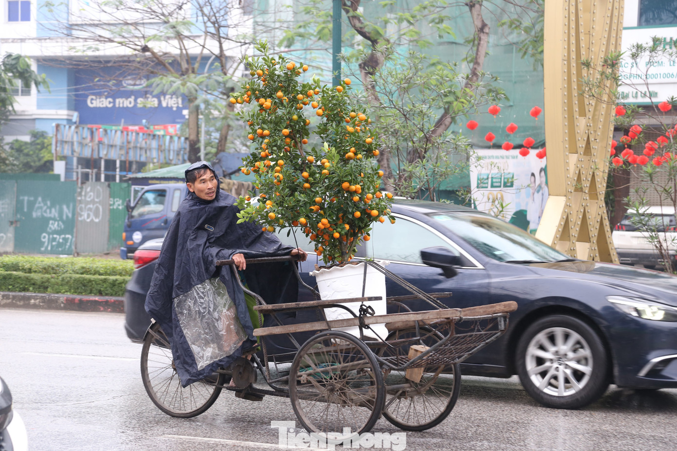 Nhiều người tìm được chậu cây cảnh ưng ý, dịch vụ chở thuê cây cảnh về tận nhà cũng đắt khách chiều 30 Tết.