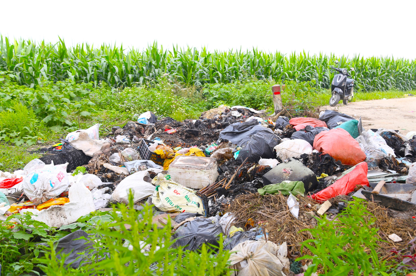 Chân cầu trở thành nơi quy tập rác thải “bất đắc dĩ”. Người dân nơi đây cho biết, vào những hôm thay đổi thời tiết, khi đi làm ngoài đồng ngang qua bãi rác, mùi hôi thối bốc lên rất khó chịu.