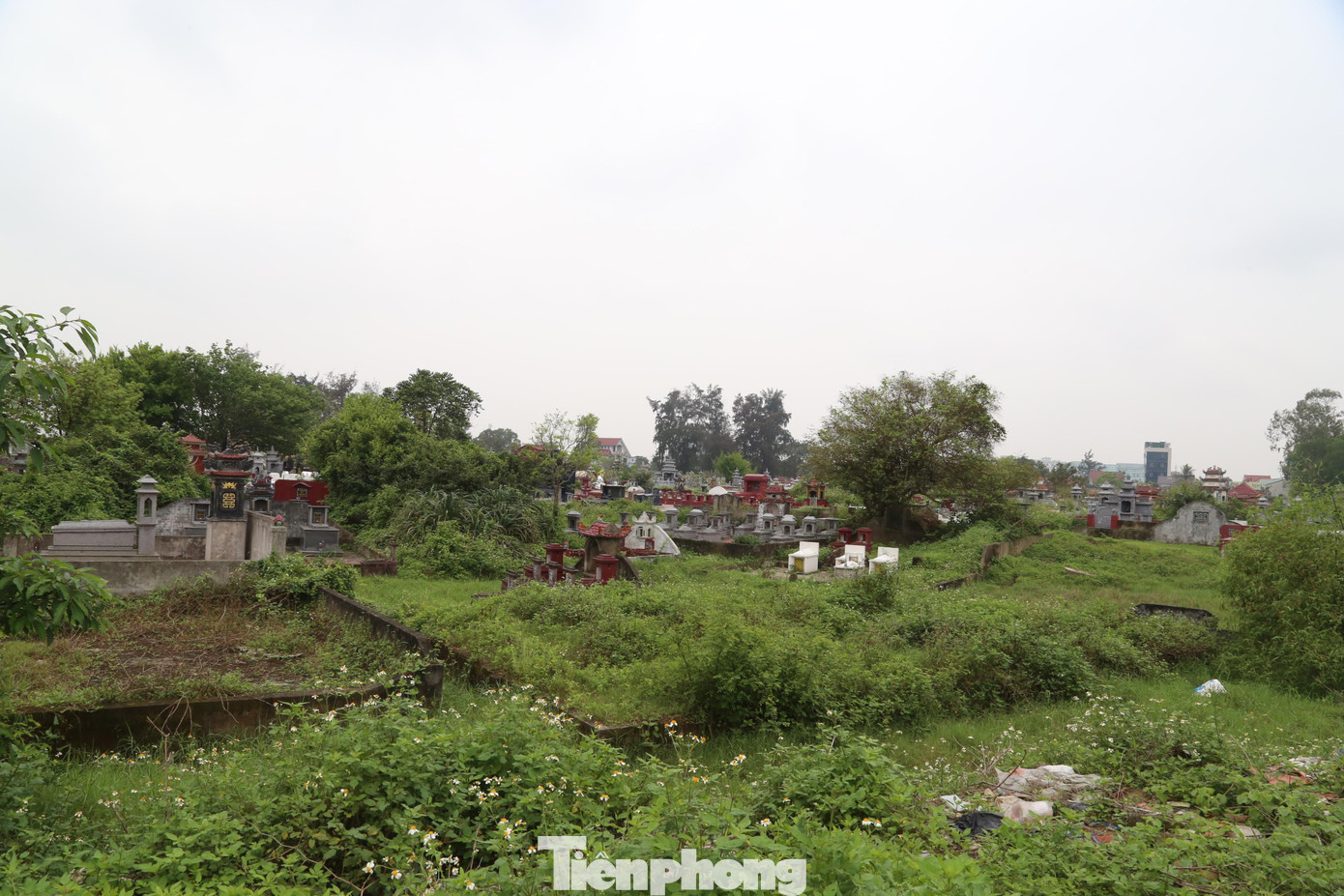 Hàng trăm mộ phần chưa thể di dời.