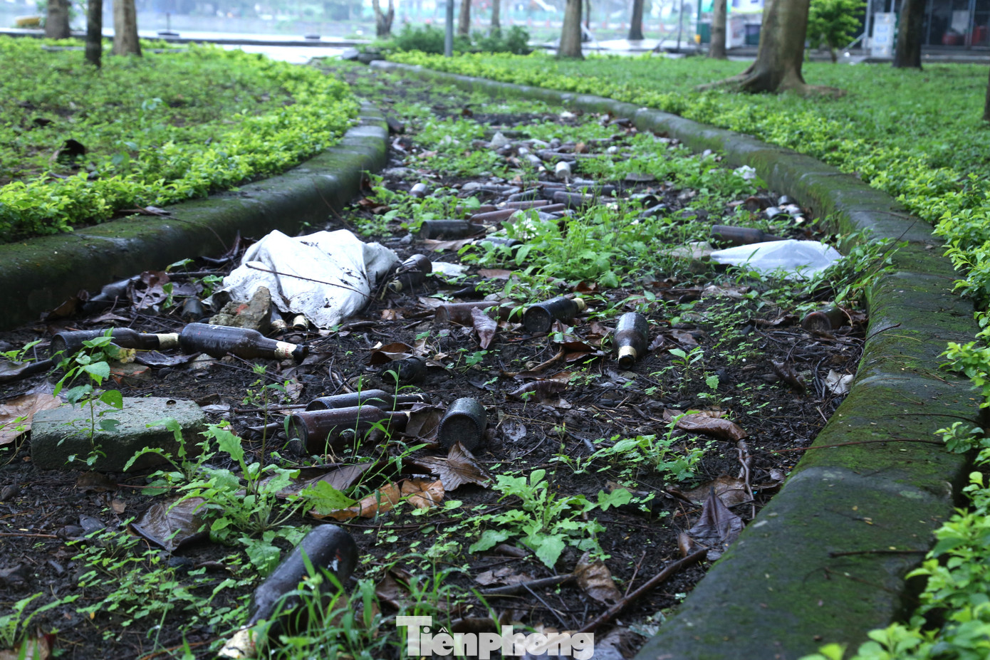 Bước vào trong, một điều dễ nhận thấy ở công viên là rác tràn ngập khắp nơi.