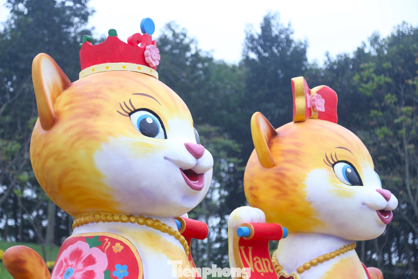 Cặp linh vật mèo này được UBND thành phố Vinh chọn lựa trong nhiều mẫu thiết kế và do một đơn vị ở Hà Nội thi công trước khi chuyển về thành phố lắp đặt trên đường hoa Hồ Tùng Mậu.