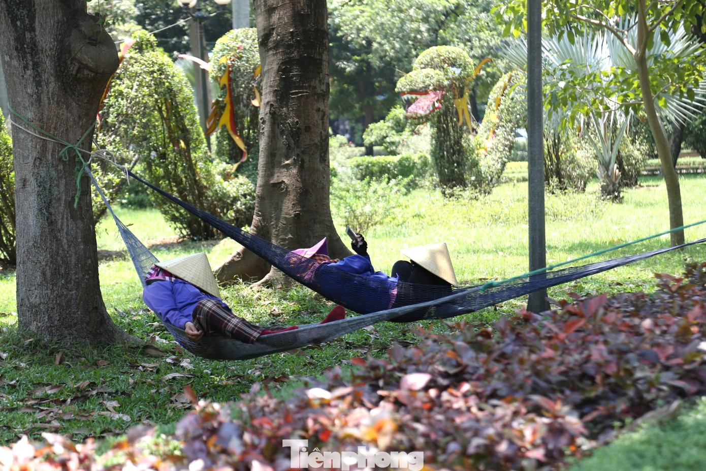 Nhiều lao động tìm đến các công viên có cây xanh để nghỉ ngơi. Nhiều lao động tìm đến các công viên có cây xanh để nghỉ ngơi.