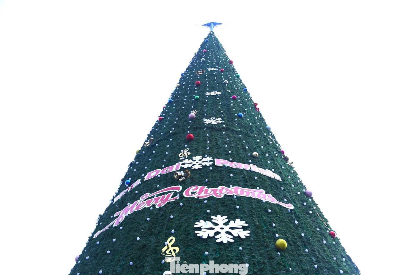 Ông Đặng Xuân Đình, Chủ tịch Hội đồng mục vụ giáo xứ Yên Đại, cho biết, cây thông Noel này cao 36m, đường kính 10m, được thiết kế theo dạng hình tháp, nhỏ dần về phía trên. Toàn bộ cây thông được treo gần 2.000 bóng đèn các loại, hơn 10.000 dây lá thông bằng nhựa. Trụ chính của cây thông là khung thép, hàng tấn sắt được hàn gắn tạo thành một khối vững chắc. Ông Đặng Xuân Đình, Chủ tịch Hội đồng mục vụ giáo xứ Yên Đại, cho biết, cây thông Noel này cao 36m, đường kính 10m, được thiết kế theo dạng hình tháp, nhỏ dần về phía trên. Toàn bộ cây thông được treo gần 2.000 bóng đèn các loại, hơn 10.000 dây lá thông bằng nhựa. Trụ chính của cây thông là khung thép, hàng tấn sắt được hàn gắn tạo thành một khối vững chắc.