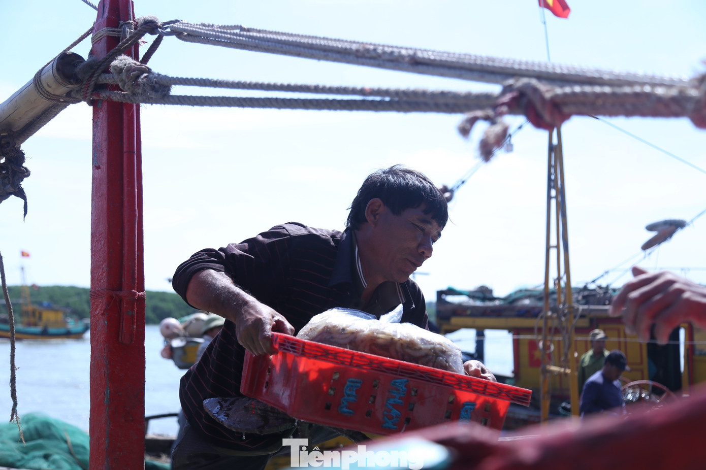 Theo các ngư dân, những ngày sau kỳ nghỉ Tết Nguyên đán, thời tiết thuận lợi sau thời gian biển động đã giúp họ có thu nhập lớn. Đây là tín hiệu vui đầu năm mới. Trong ảnh, ngư dân đang phân loại hải sản ngay trên tàu thuyền.