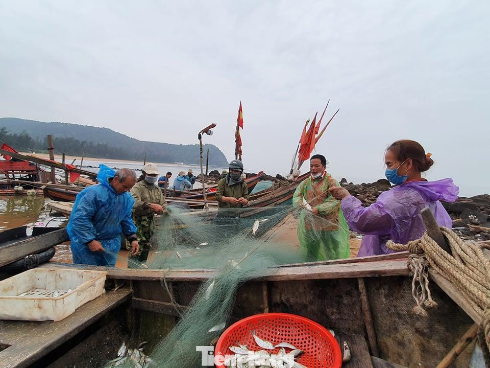 Ông Hoàng Anh Phương (55 tuổi, trú xóm Tiền Phong, xã Nghi Tiến) phấn khởi khi chuyến ra khơi của ông hôm nay đánh được mẻ cá trích lớn, dự kiến được khoảng 2 tạ cá. Ông Hoàng Anh Phương (55 tuổi, trú xóm Tiền Phong, xã Nghi Tiến) phấn khởi khi chuyến ra khơi của ông hôm nay đánh được mẻ cá trích lớn, dự kiến được khoảng 2 tạ cá.