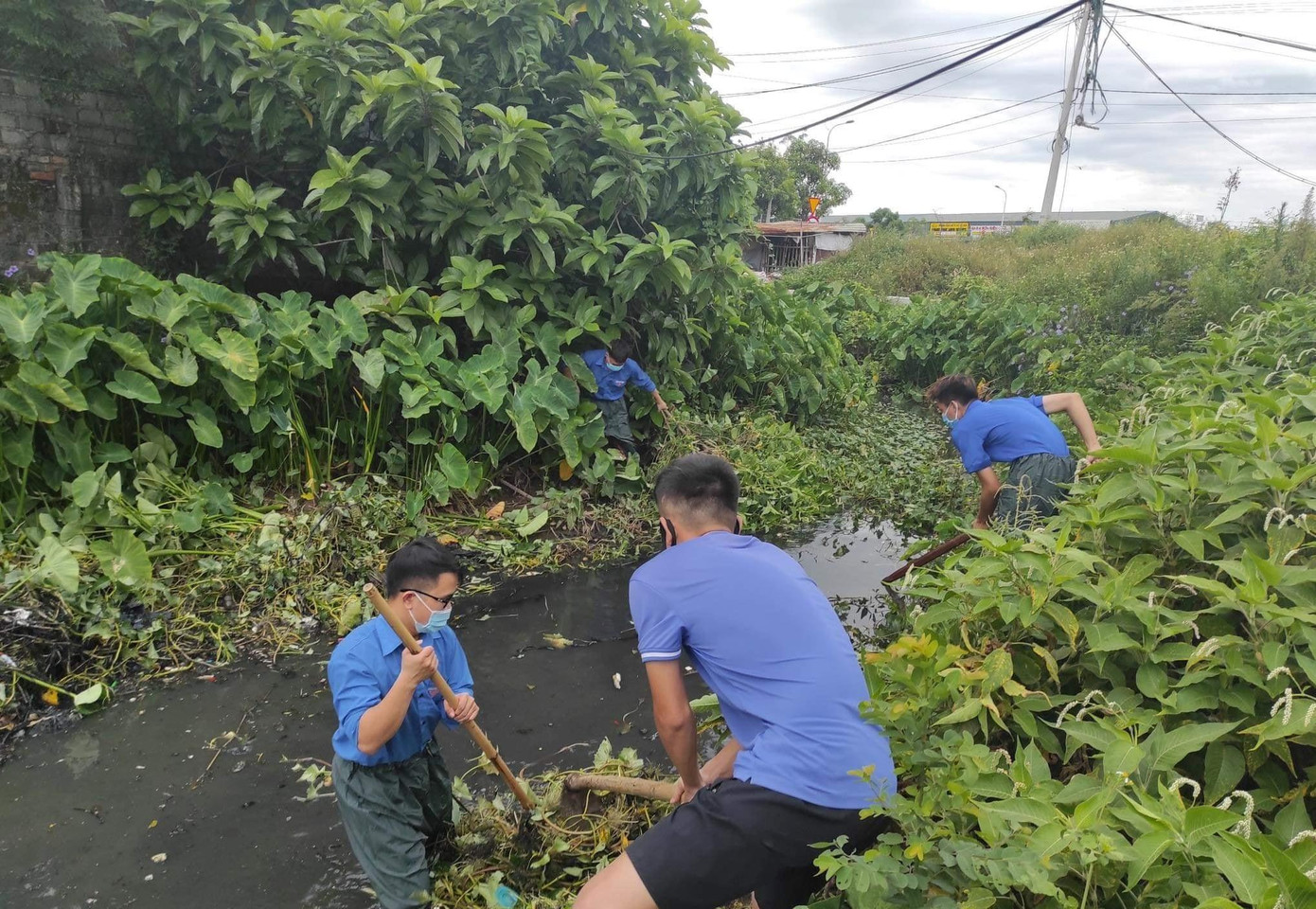 Dịp này, Thành đoàn Vinh ra quân khơi thông mương, cống thoát nước tại 50 điểm nội thành. Đây là những điểm thường xảy ra ngập úng, gây ô nhiễm môi trường. Hoạt động thể hiện tinh thần xung kích, tình nguyện của tuổi trẻ, góp phần tạo mỹ quan, môi trường xanh, sạch, đẹp, nâng cao ý thức để người dân thực hiện tốt nếp sống văn minh đô thị.